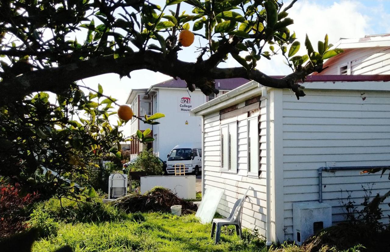 Albergue 42B College House Whanganui Exterior foto